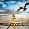 Adalet 的头像