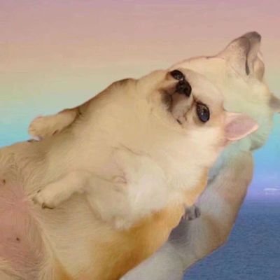 wawaovo_233's profile picture