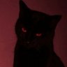 Profilbild von Ψ mat