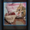 Фото профиля Peace a