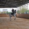 Umut 🇲🇰 profil fotoğrafı