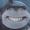 Sharkboy 的头像