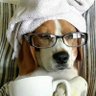 Candy's profile picture
