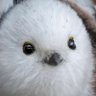 Profilbild von りおん