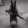 matéo's profile picture