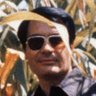 Profilbild von Rabarbarian