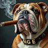 Profilbild von Big E