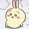 Profilbild von 吾乃乌萨奇大王