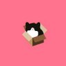 Rishi Pranav's profile picture