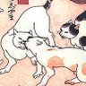 Фото профиля さくら田麩