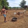 FreddyPhogojane's profile picture