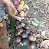 be-ach-daddy14344 profil fotoğrafı