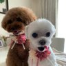 えりなん profil fotoğrafı