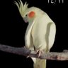 Фото профиля REZAN