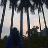 Aulia's profile picture