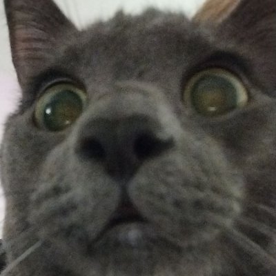 yousaysilver's profile picture