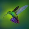 Profilbild von 309317826@qq.com