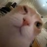 SOUIC's profile picture
