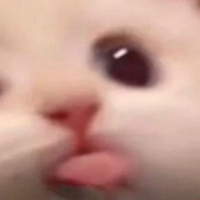 mishu_zeus's profile picture