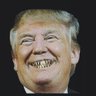 Trump2024 的头像