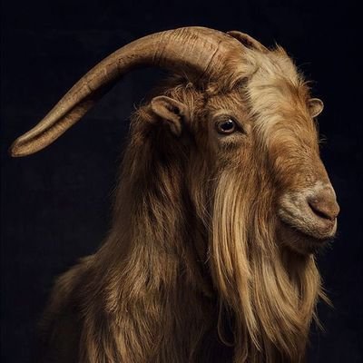 Emmiewinnie's profile picture