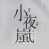 初霜の小夜嵐の日に🇯🇵's profile picture