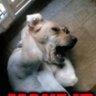 Hema profil fotoğrafı