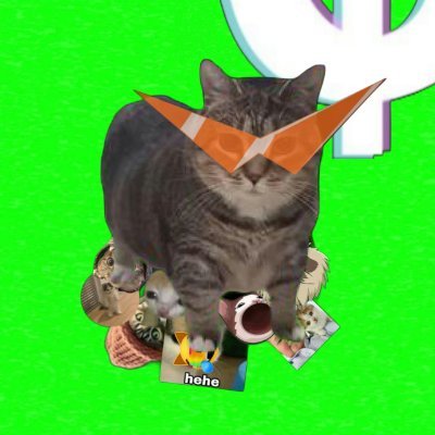$OIIA CAT's profile picture