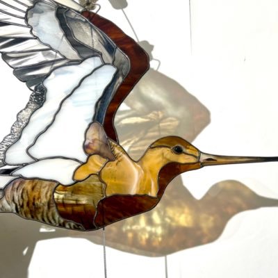 fidhw's profile picture