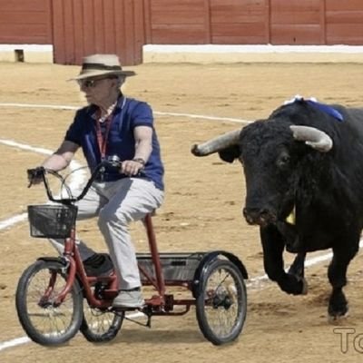 tonyrabina's profile picture