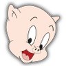 Porky_Porky🐷🐽🐖 的头像