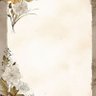 Фото профиля Leng_kris