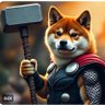 Profilbild von Doge Hammer of Justice⚒️