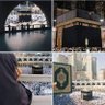 رمش الغلا's profile picture