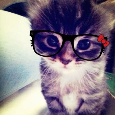 yvesleaks's profile picture