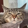 Profilbild von sharon