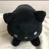 とこねこ🥞🐾 profil fotoğrafı