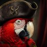 i m a crazy parrot's profile picture