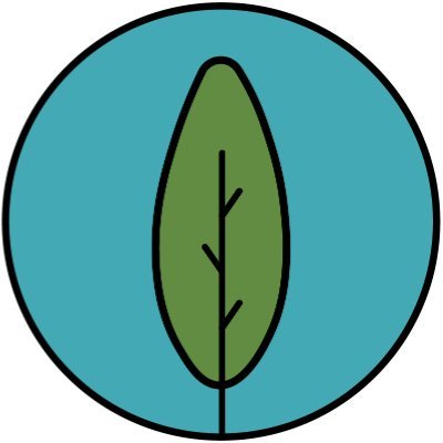 tavanmandme's profile picture