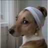 Zirem's profile picture
