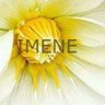 imene 的头像