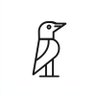 InsightCrow profil fotoğrafı