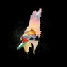 🦋Free Palestine🦋's profile picture