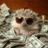 Hedgehog Bets 的头像