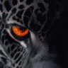Guyzo's profile picture