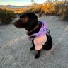 jackie's profile picture
