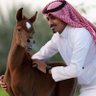 محمد علي 的头像