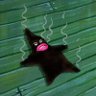 bendiciones's profile picture