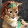 lonelinites's profile picture
