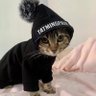 Blahco's profile picture